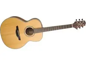 Takamine Gseries