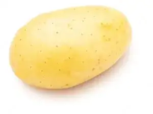 Potato