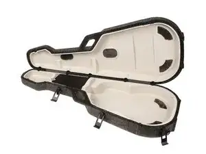 TRIC Guitar Case