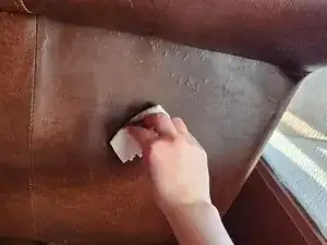 How to Fix Cat Scratches on a Leather Couch