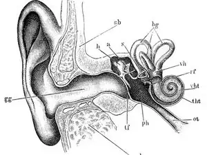 Audiometry