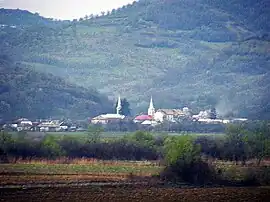 View of Braniștea village