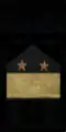 знак мпс 1973