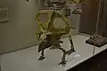 Protoceratops exhibit