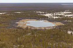 Taiga landscape in Vilyuy District