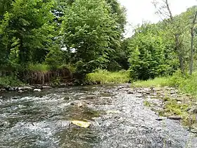 The upper part of the Tutqun river