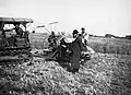 Rabbis from Jerusalem supervise the harvest of wheat in Kibbutz Gan Shmuel, in order to make sure that the wheat is kosher for making Shmurah matzah(1930–1938)