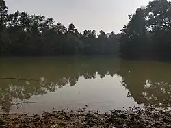 Lake in Madhupur National Park