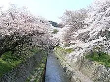 Lake Biwa Canal