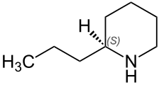 (S)-Coniine