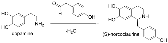 1,2,3,4-Tetrahidroisoquinolines biosynthesis: in (S)-norcoclaurine synthase, the two substrates are 4-hydroxyphenylacetaldehyde and 4-(2-aminoethyl)benzene-1,2-diol, whereas its two products are (S)-norcoclaurine and H2O.