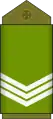 Sergent(Land Forces of the DR Congo)