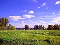 Landscape in Pushkinogorsky District