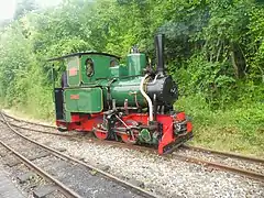 'Jenny' runs round the train at Cragside