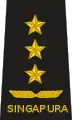 Vice admiral(Republic of Singapore Navy)