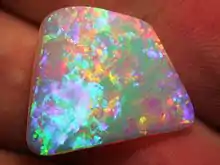 A small, white, trapezoid opal held in someone's hand. Its fire is relatively bright, display a number of finely-grained colours throughout.