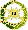 13th Cavalry Regiment"It Shall Be Done"