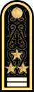 Бірінші дәрежелі капитанBirinşi därejeli kapïtan(Kazakh Naval Forces)