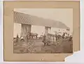 1900, Farm Claïr Massicotte and Éléonore(Élée) Trudel, some of their 11 or 12 children, horses, dog and wheel, rang Saint-Augustin