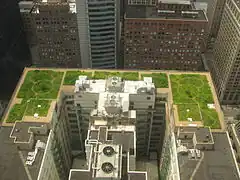 A roof garden graces City Hall (west wing).