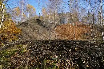 A nearby slag heap.