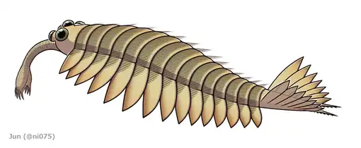 Reconstruction