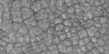 Close-up of high center polygons seen by HiRISE under HiWish program  Troughs between polygons are easily visible in this view.