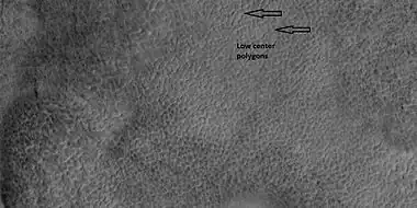 Low center polygons, shown with arrows, as seen by HiRISE under HiWish program  Location is Casius quadrangle.  Image was enlarged with HiView.