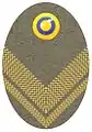 Hat badge (Mössmärke m/1940) for a major in the army.