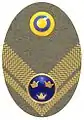 Hat badge (Mössmärke m/1946) for a major in the army.