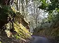 A sunken way, Witley, Surrey