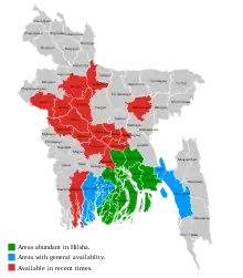 Abundance of Ilish in Bangladesh