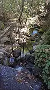 The creek takes a drop after it crosses under O'Keefe Lane, Los Altos.