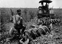 Image 31Early 20th-century image of a tractor ploughing an alfalfa field (from History of agriculture)