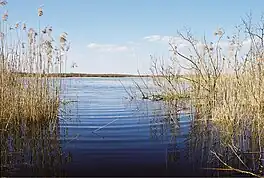 Lake Ahijärv near Lääniste