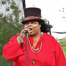 Suter performing at the 2013 Waterfront Blues Festival