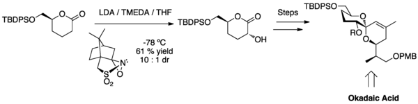 Alpha hydroxylation highlighted in the synthesis of okadaic acid