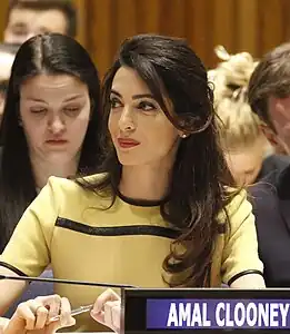 Amal Clooney, Human Rights Barrister