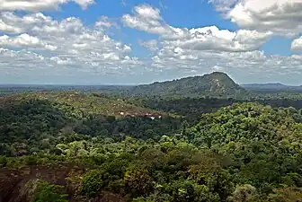 An inselberg in the rainforest of Suriname