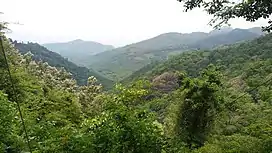 Ambanad Hills