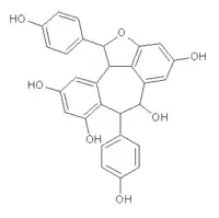 Chemical structure of ampelopsin A