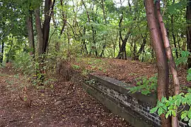 Anhalter Bahnhof 2005. Platform remains - one of several sections still visible in the undergrowth.