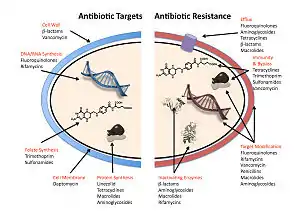 Infographic showing mechanisms for antibiotic resistance