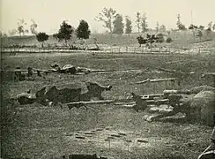 Confederate horses lay dead and artillery caissons destroyed on Antietam battlefield