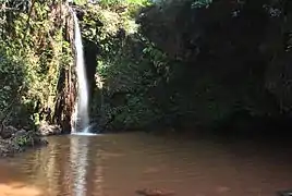 Falls