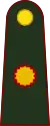 Coronel mayor(Argentine Army)