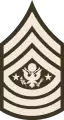 Sergeant Major of the Army