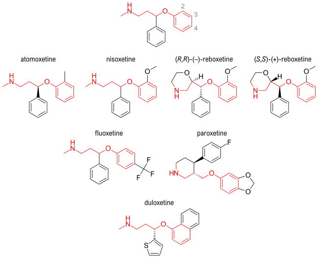 Aryloxypropanamine scaffold