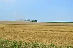 Wheat harvest along New Haven-Shawneetown Road