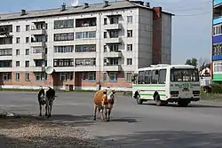 Street scene in Asino